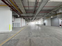 Ct Foodnex (D25), Factory #471603991